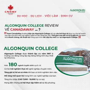 Read more about the article Algonquin College – CHẤP CÁNH CHO ƯỚC MƠ DU HỌC